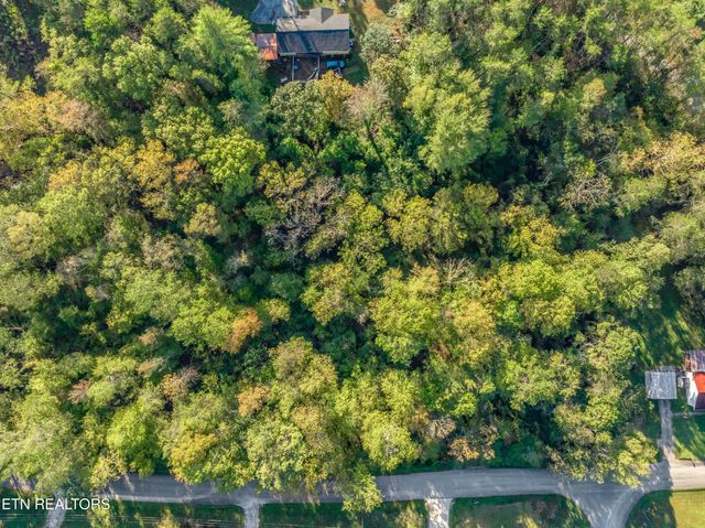 - Stevens Circle, Rockwood, TN 37854