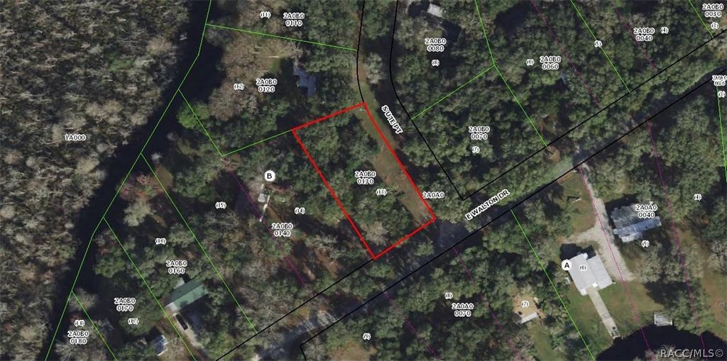 12345 E Walton Drive, Floral City, FL 34436