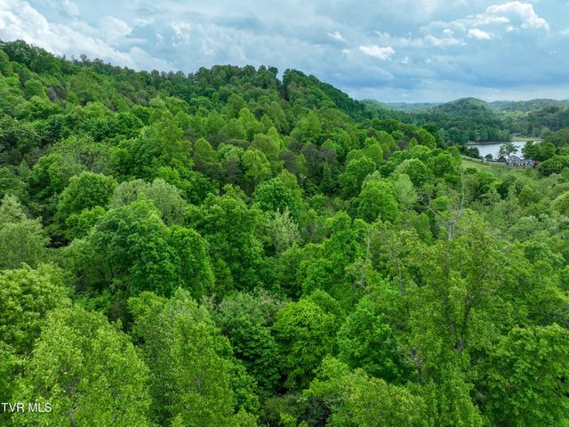 660 Gottland Shoals Road, Blountville, TN 37617
