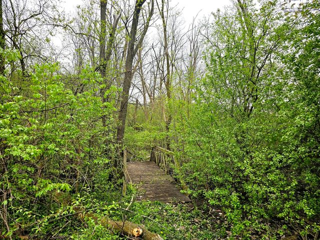 6420 Thurlow Street, Willowbrook, IL 60527