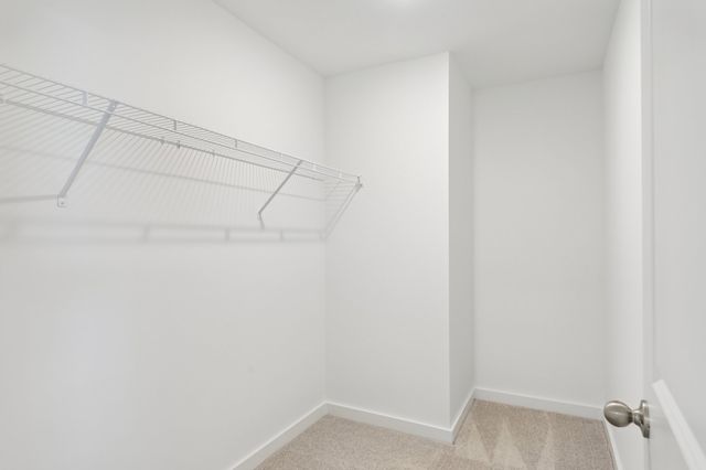 6012 Spunky Street, Rockvale, TN 37153