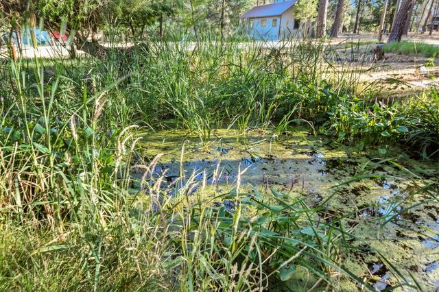 61 Chief George, Lewiston, CA 96052