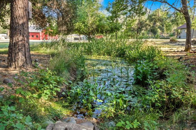 61 Chief George, Lewiston, CA 96052