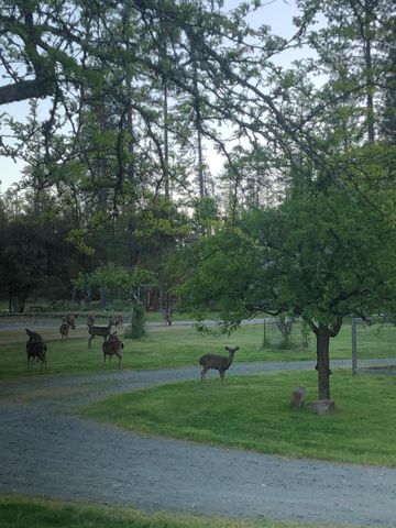 61 Chief George, Lewiston, CA 96052