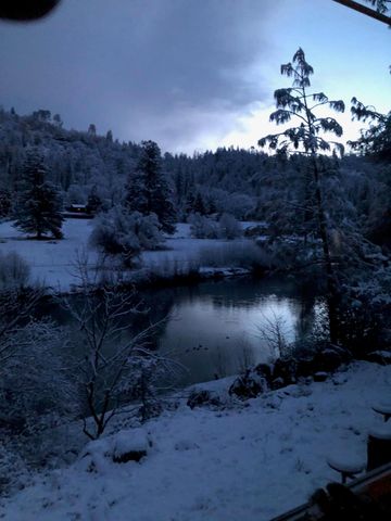 61 Chief George, Lewiston, CA 96052