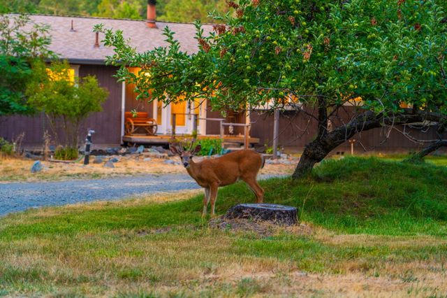 61 Chief George, Lewiston, CA 96052