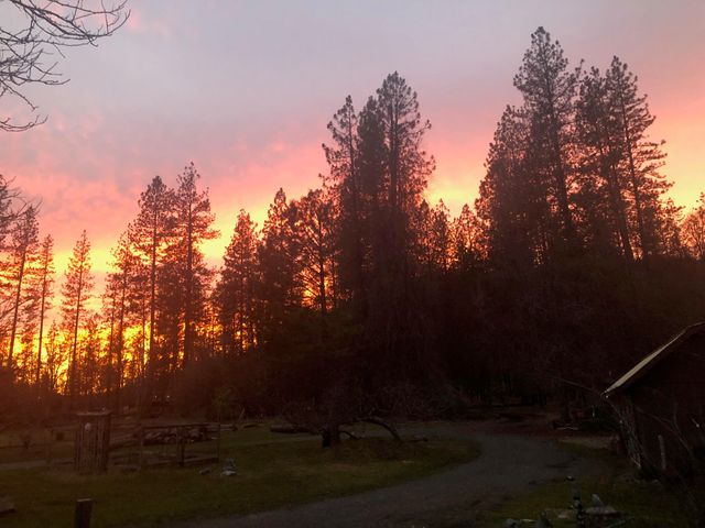 61 Chief George, Lewiston, CA 96052