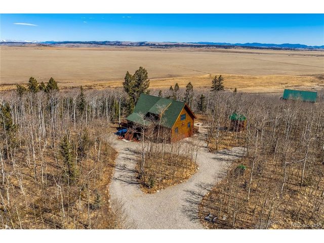 1059 Sheep Ridge Rd, Fairplay, CO 80440