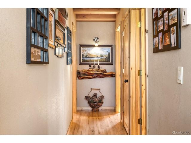1059 Sheep Ridge Rd, Fairplay, CO 80440