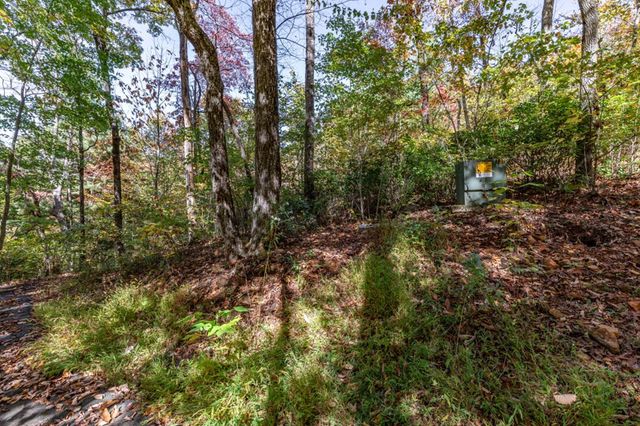 Lot 38 Skyview At Wildlife Acres, Hayesville, NC 28904