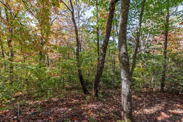 Lot 38 Skyview At Wildlife Acres, Hayesville, NC 28904