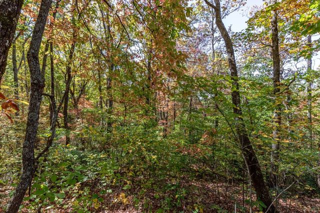Lot 38 Skyview At Wildlife Acres, Hayesville, NC 28904