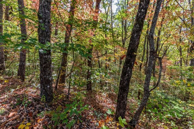 Lot 38 Skyview At Wildlife Acres, Hayesville, NC 28904