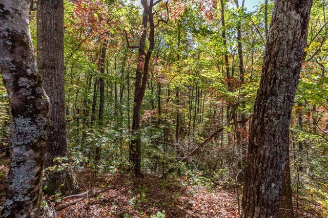 Lot 38 Skyview At Wildlife Acres, Hayesville, NC 28904