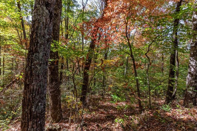 Lot 38 Skyview At Wildlife Acres, Hayesville, NC 28904