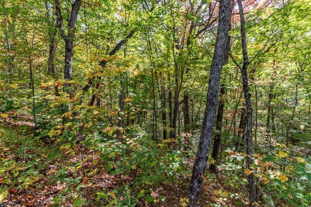 Lot 38 Skyview At Wildlife Acres, Hayesville, NC 28904