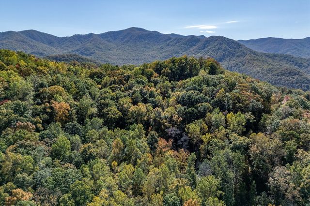 Lot 38 Skyview At Wildlife Acres, Hayesville, NC 28904