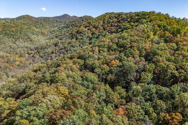Lot 38 Skyview At Wildlife Acres, Hayesville, NC 28904