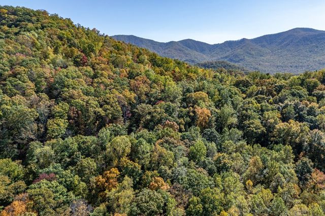 Lot 38 Skyview At Wildlife Acres, Hayesville, NC 28904