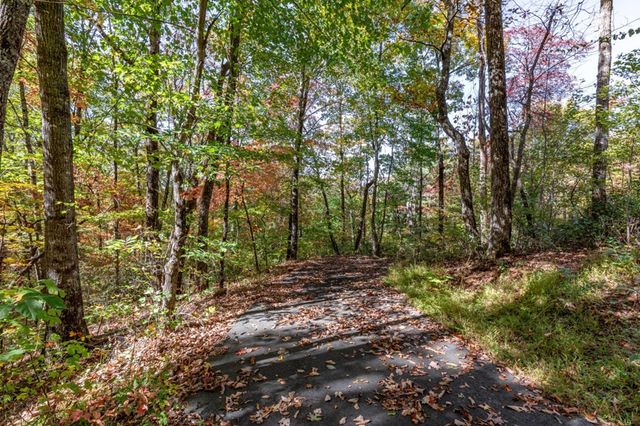 Lot 38 Skyview At Wildlife Acres, Hayesville, NC 28904