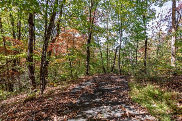 Lot 38 Skyview At Wildlife Acres, Hayesville, NC 28904