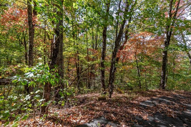 Lot 38 Skyview At Wildlife Acres, Hayesville, NC 28904