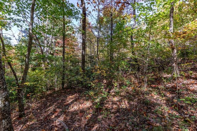 Lot 38 Skyview At Wildlife Acres, Hayesville, NC 28904
