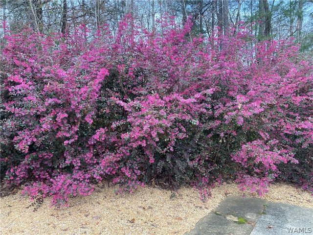 14278 Chandler, Duncanville, AL 35456