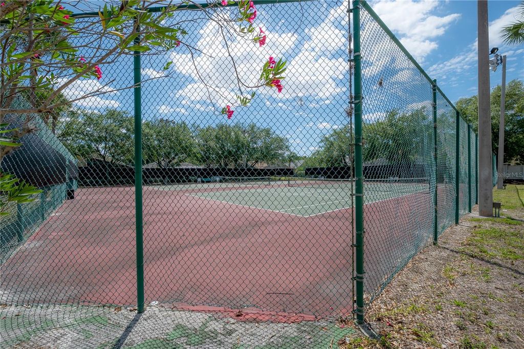 Image 46 of property listing at 8507 TIARA PARK WAY, Tampa, FL 33635