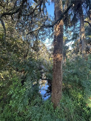 14428 GUAVA STREET, Hudson, FL 34667