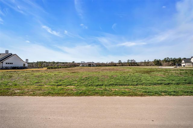 8572 Cedar Lake Lane, Plantersville, TX 77363