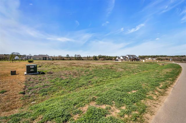 8572 Cedar Lake Lane, Plantersville, TX 77363