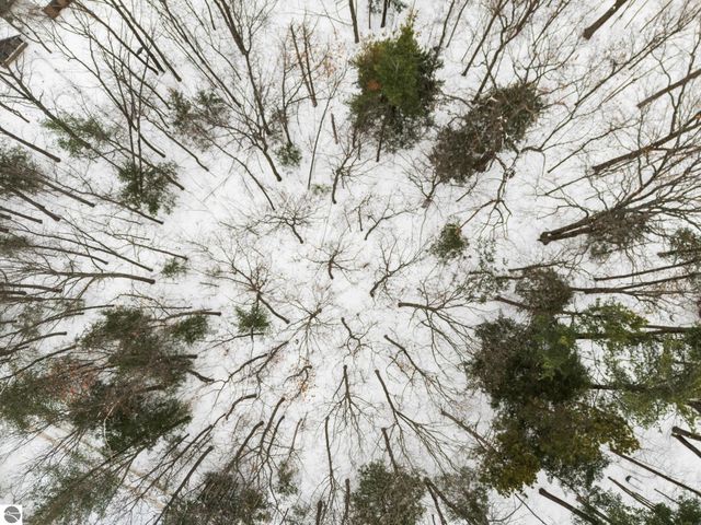 3019 Ishpeming Trail, Traverse City, MI 49686