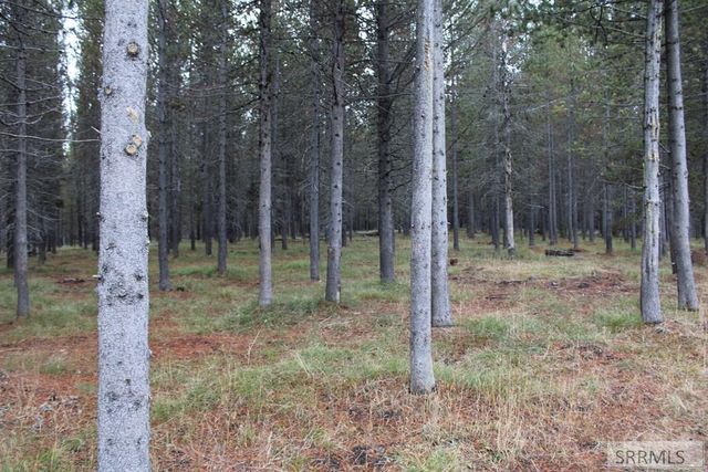 4212 N Big Springs Loop Road, Island Park, ID 83429