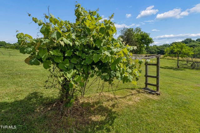 138 Burton France Road, Johnson City, TN 37604