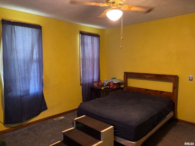 13911 TOWNLINE Road, Green Valley, IL 61534