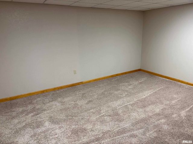 13911 TOWNLINE Road, Green Valley, IL 61534
