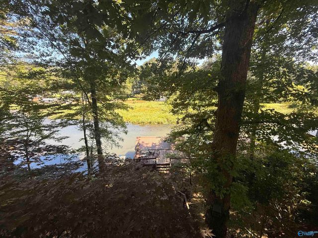 4512 Hideaway Drive, Guntersville, AL 35976
