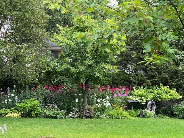 2142 Harrison Street, Glenview, IL 60025