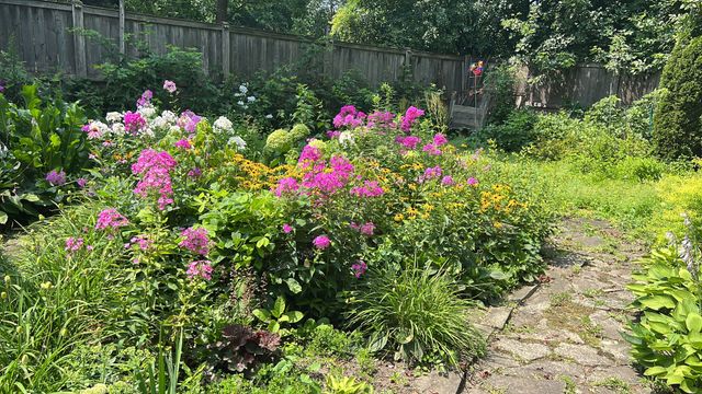 2142 Harrison Street, Glenview, IL 60025