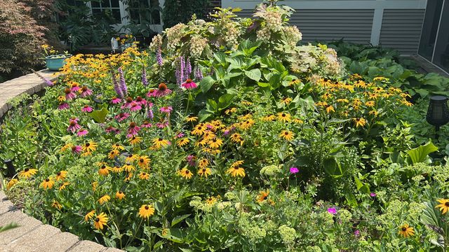 2142 Harrison Street, Glenview, IL 60025