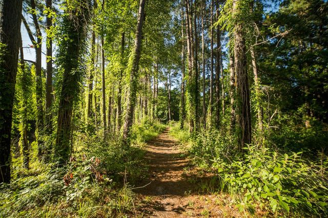 15-34-51 Alamo Drive, Huntsville, TX 77340