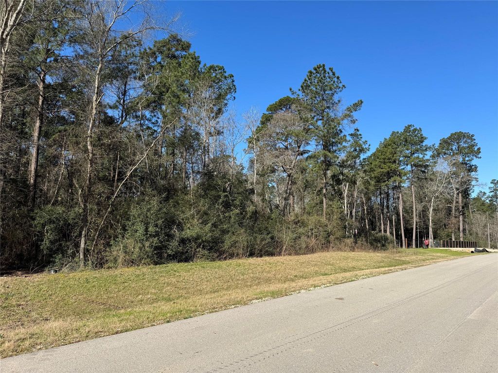 15-34-51 Alamo Drive, Huntsville, TX 77340