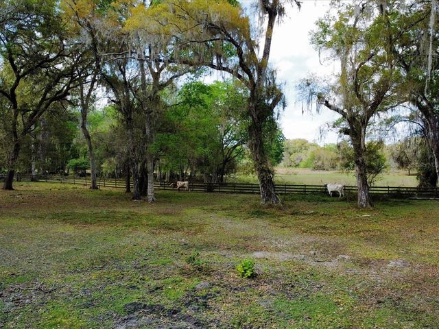10820 SW 31st WAY, Webster, FL 33597