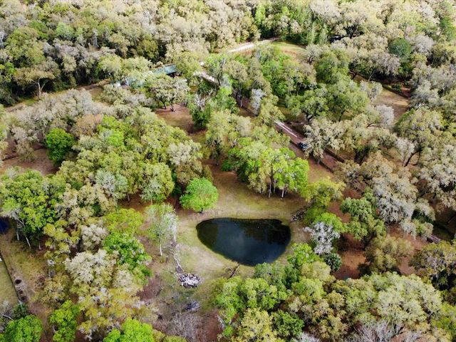 10820 SW 31st WAY, Webster, FL 33597