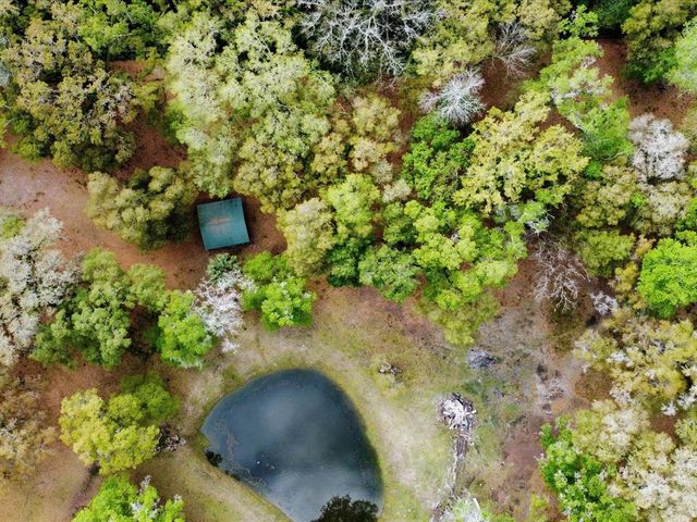 10820 SW 31st WAY, Webster, FL 33597