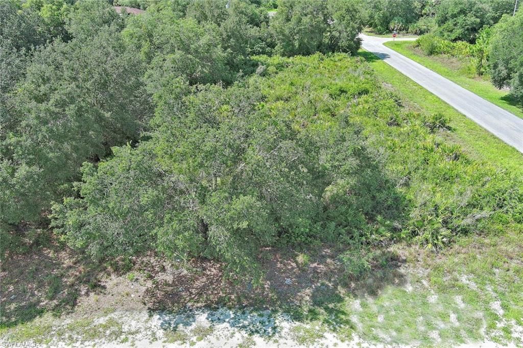 2517 67th ST W, LEHIGH ACRES, FL 33971 — photo 4