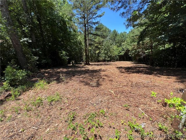 521 Dashland Drive, Fayetteville, NC 28303