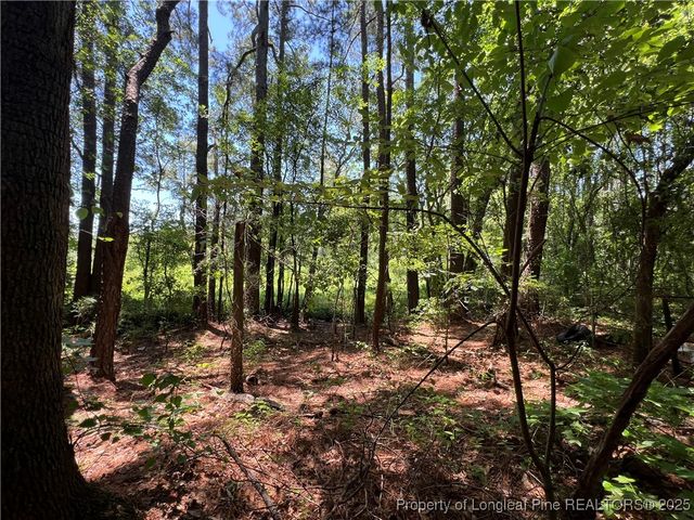 521 Dashland Drive, Fayetteville, NC 28303