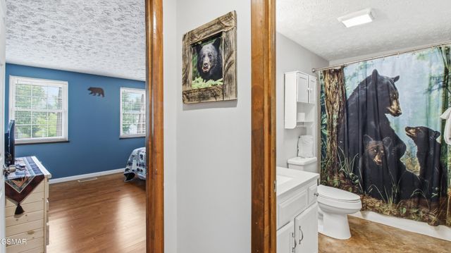 625 S Asbury Dr Apt 11, Pigeon Forge, TN 37863